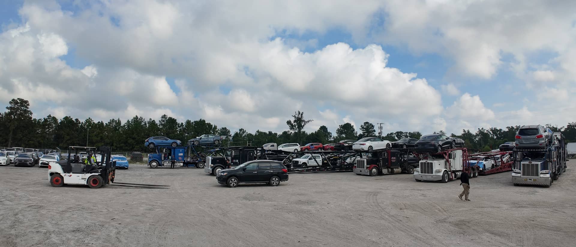 Wide view of the Savannah yard with car carriers, vehicles and a forklift
